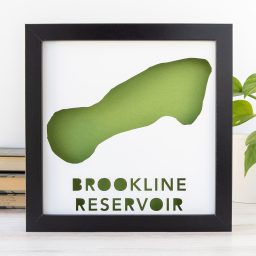 a framed poster with the words brookine reservoir on it