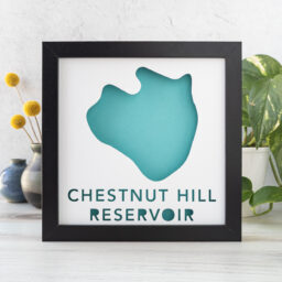 a framed map with the words chestnut hill reservoir